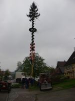 2013-04-30 TTC Maibaumstellen 024