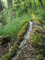 2018-08-07_Zelten_Hahnenkammsee 004 (IMG_20180808_142928)