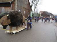 015_2018-02-11_Faschingsumzug_Bühlertann_042_IMG_6479