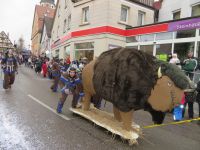 009_2018-02-11_Faschingsumzug_Bühlertann_022_IMG_6459