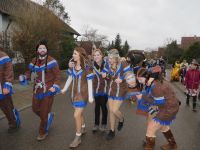 017_2018-02-11_Faschingsumzug_Bühlertann_045_IMG_6482